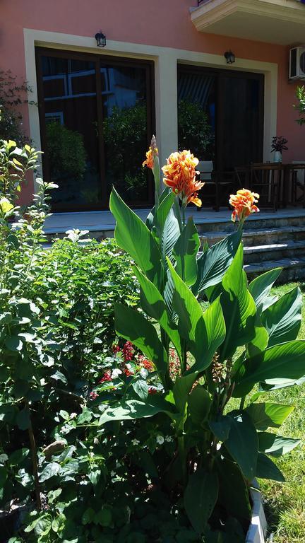 Epavli Veneti Hotel Parga Exterior foto